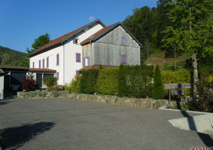 à vendre Gîte Epinal