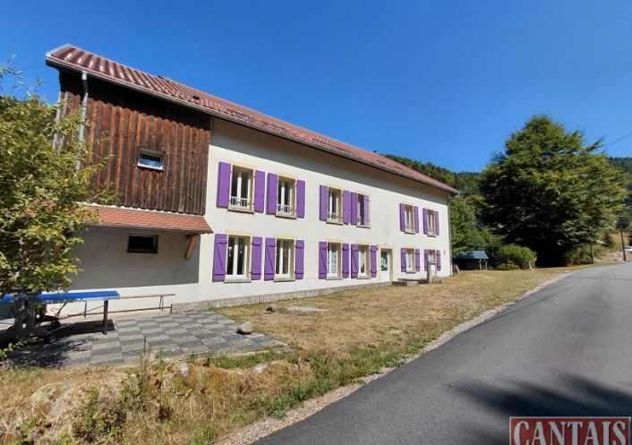 à vendre Gîte Epinal