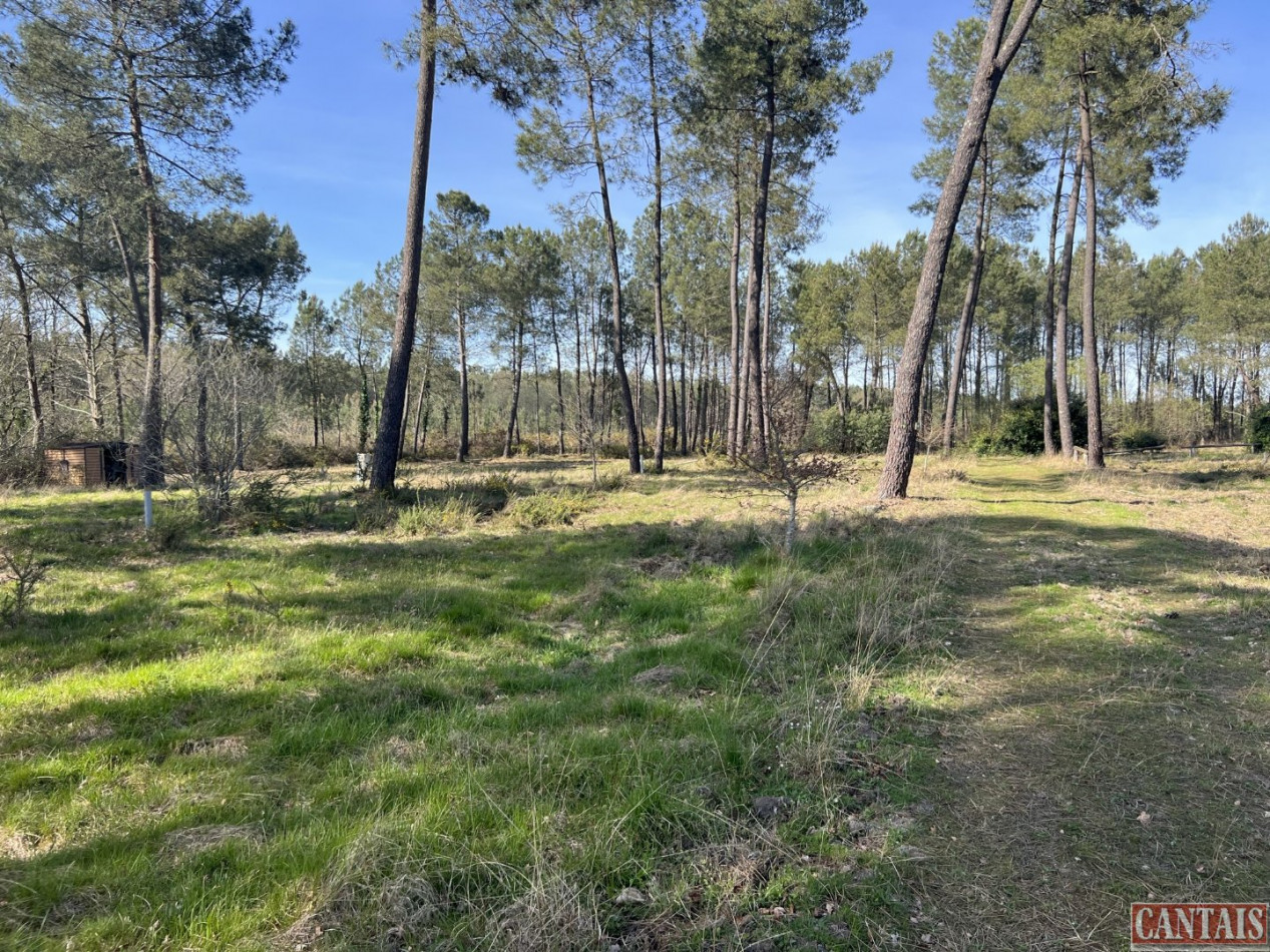 à vendre Camping Mont De Marsan - Photo 10