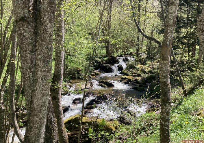 à vendre Camping Foix