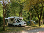 à vendre Camping Lucon