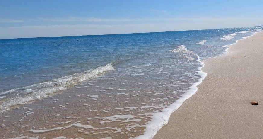 vente Hôtel restaurant Toulon