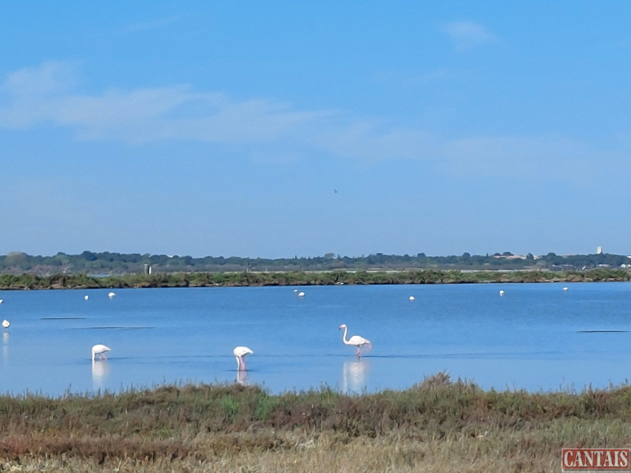 à vendre Camping Port Vendres - Photo 1