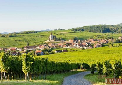 vente Hôtel restaurant Linthal