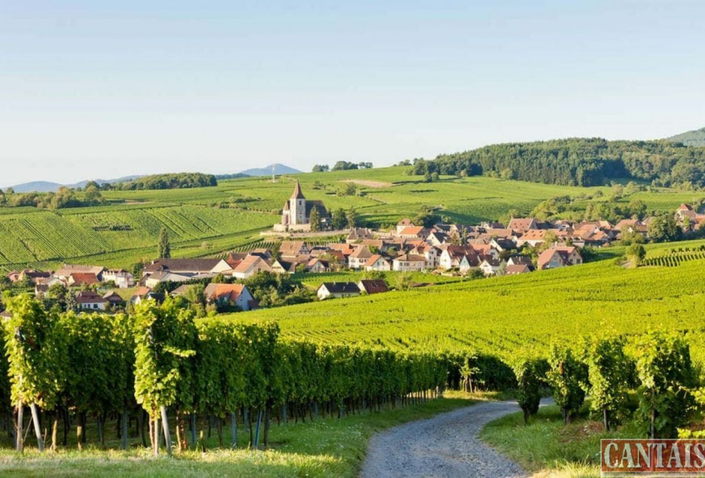 vente Hôtel restaurant Linthal - Photo 1