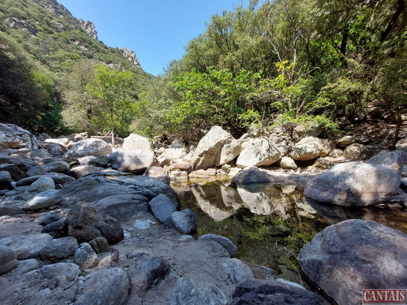 vente Gîte Saint Pons De Thomieres - Photo 1