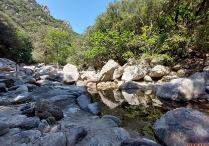 vente Gîte Saint Pons De Thomieres