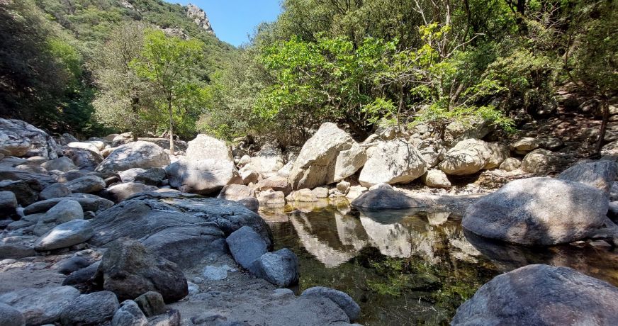 vente Gîte Saint Pons De Thomieres