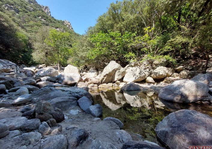 à vendre Gîte Saint Pons De Thomieres