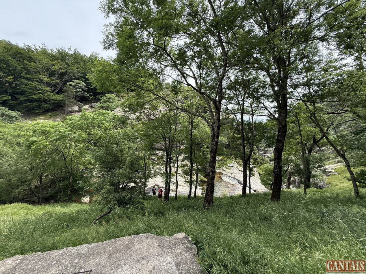 à vendre Gîte Saint Pons De Thomieres - Photo 2