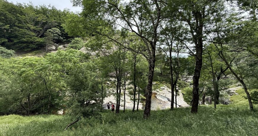 vente Gîte Saint Pons De Thomieres