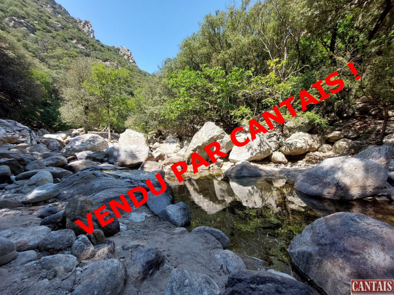 vente Gîte Saint Pons De Thomieres - Photo 1