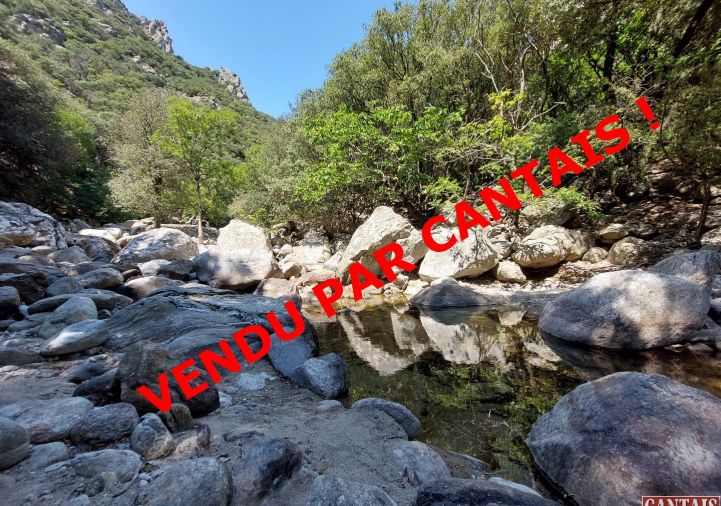 vente Gîte Saint Pons De Thomieres