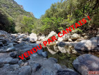 vente Gîte Saint Pons De Thomieres