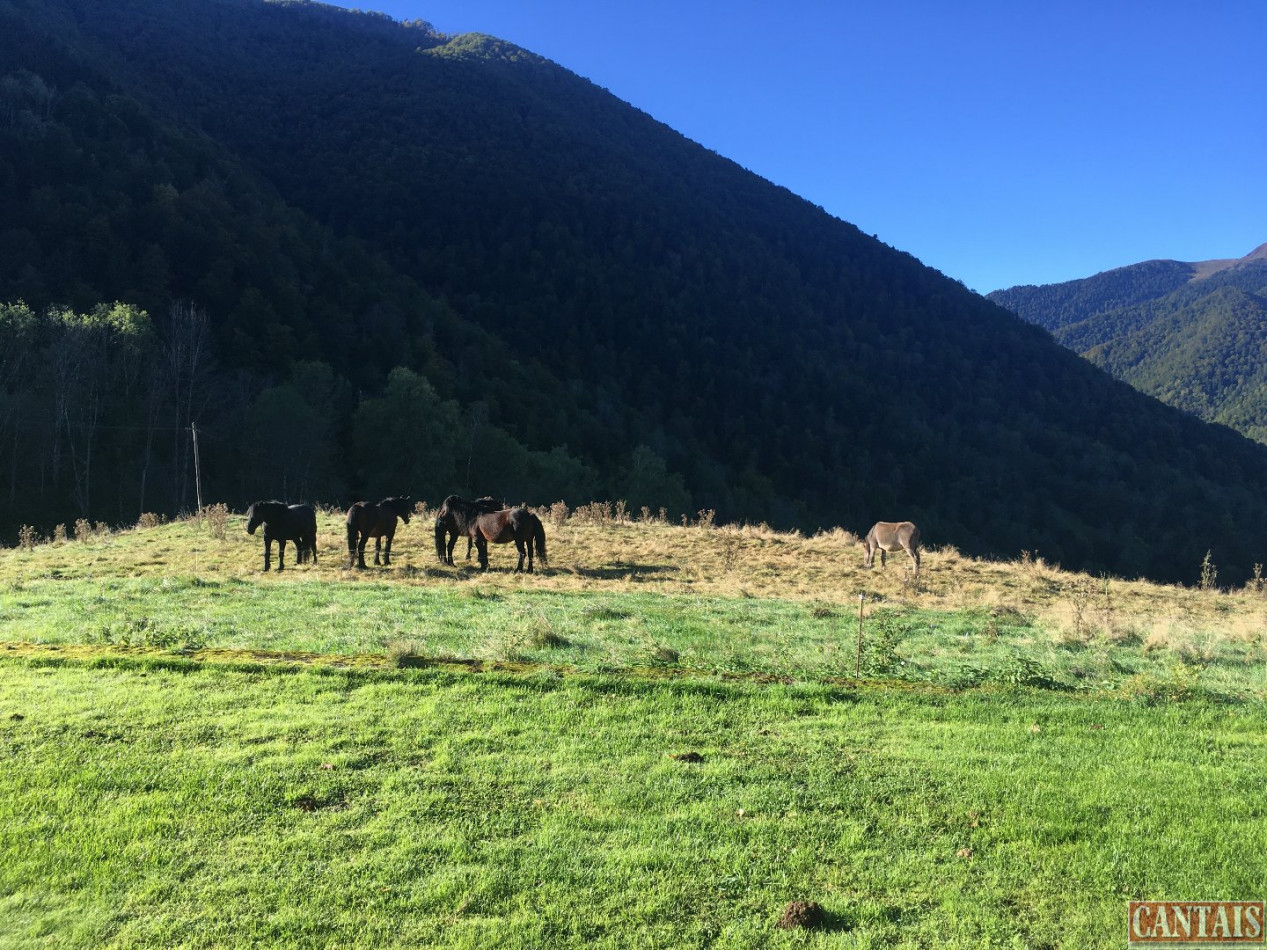 à vendre Gîte Blagnac - Photo 1