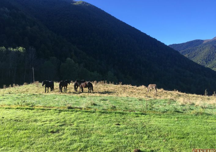 à vendre Gîte Blagnac