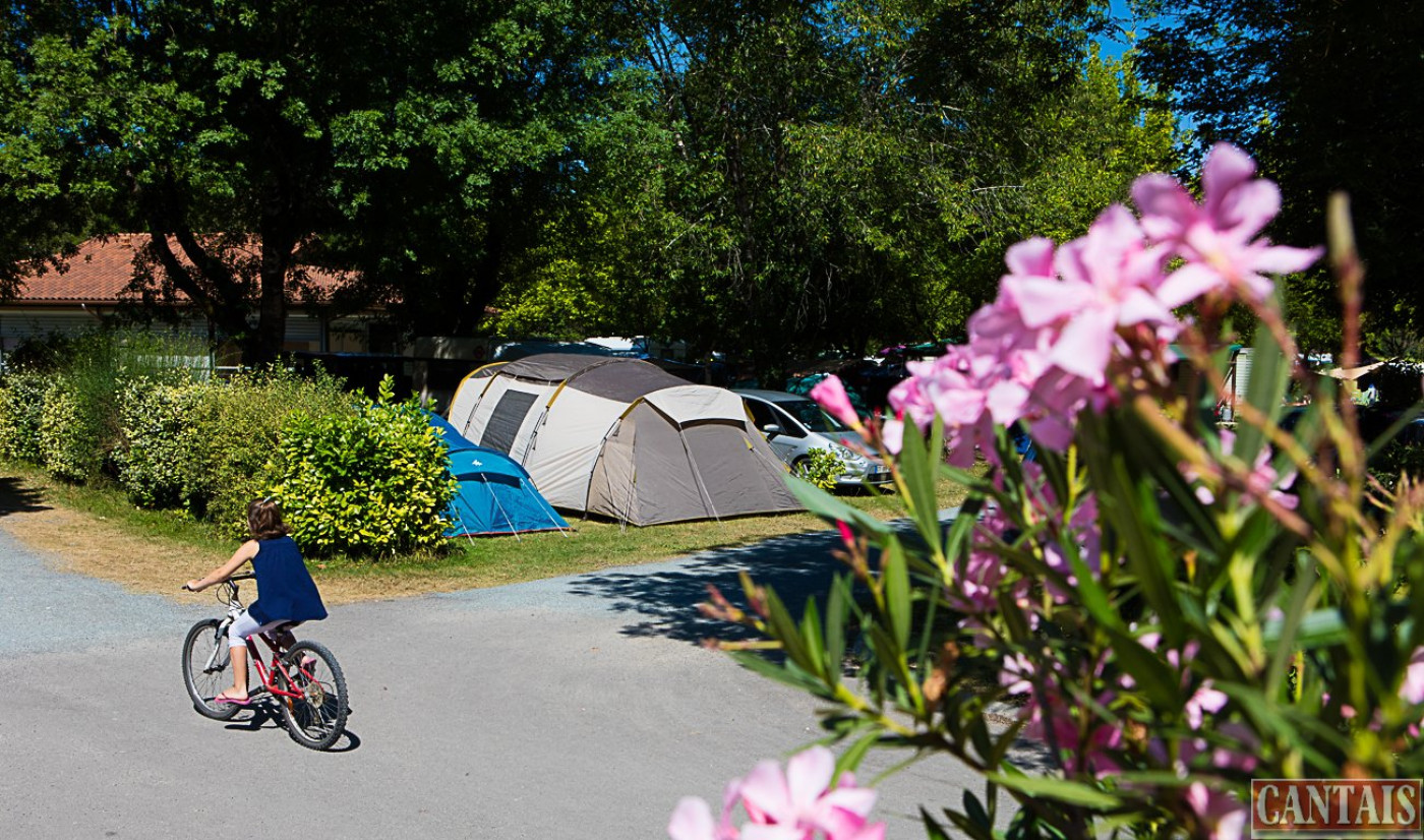 à vendre Camping Perigueux - Photo 5