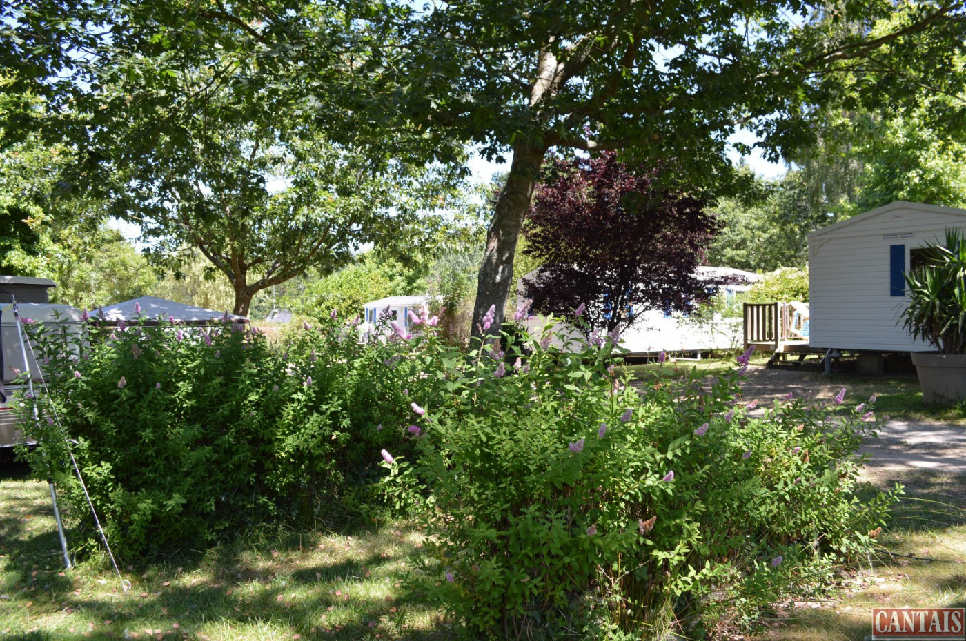 à vendre Camping Quimper - Photo 2