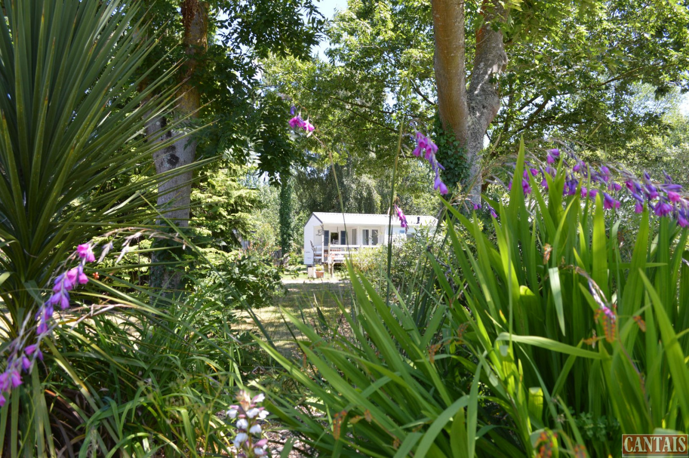 à vendre Camping Quimper - Photo 1