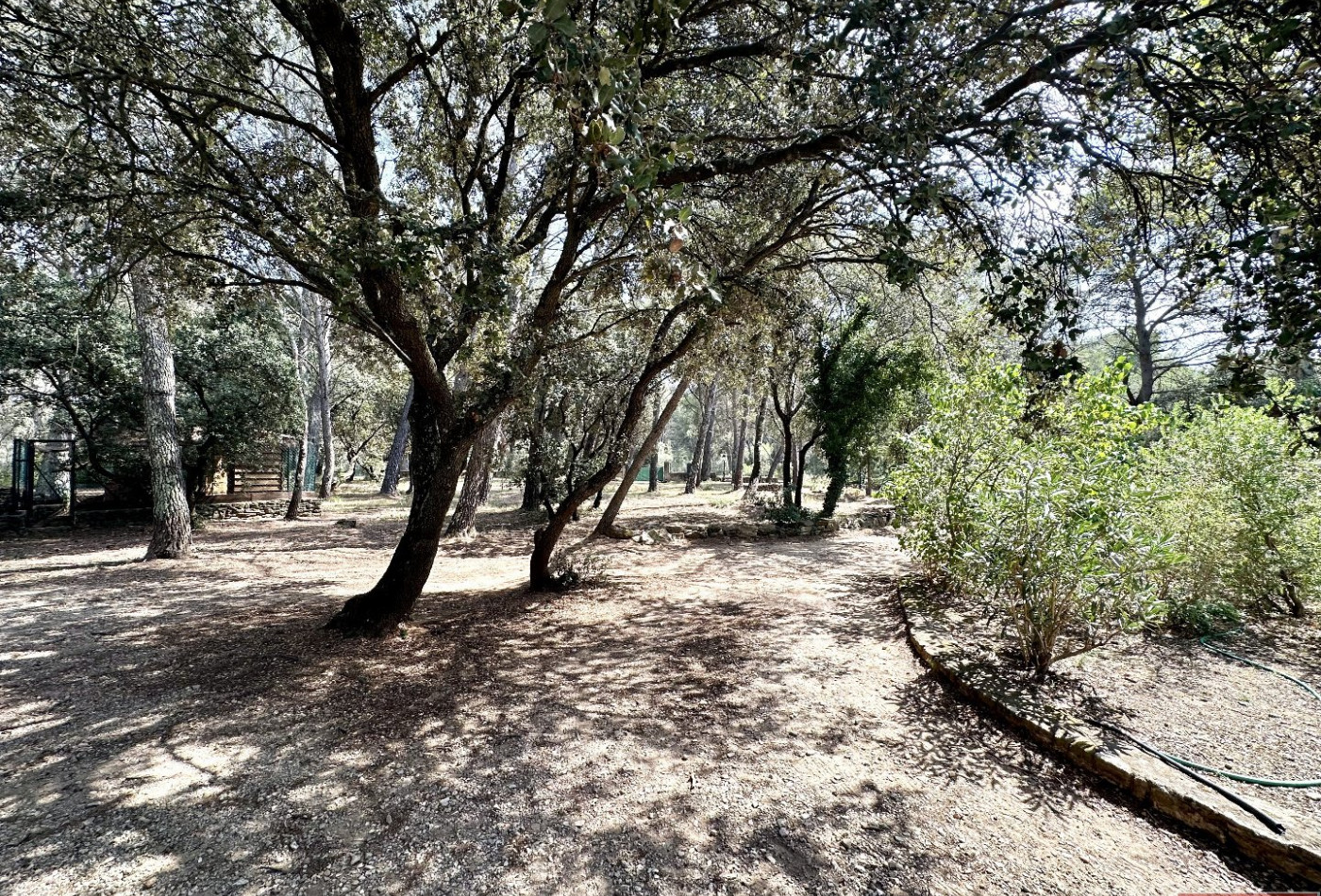 vente Gîte Marseille 1er Arrondissement - Photo 4