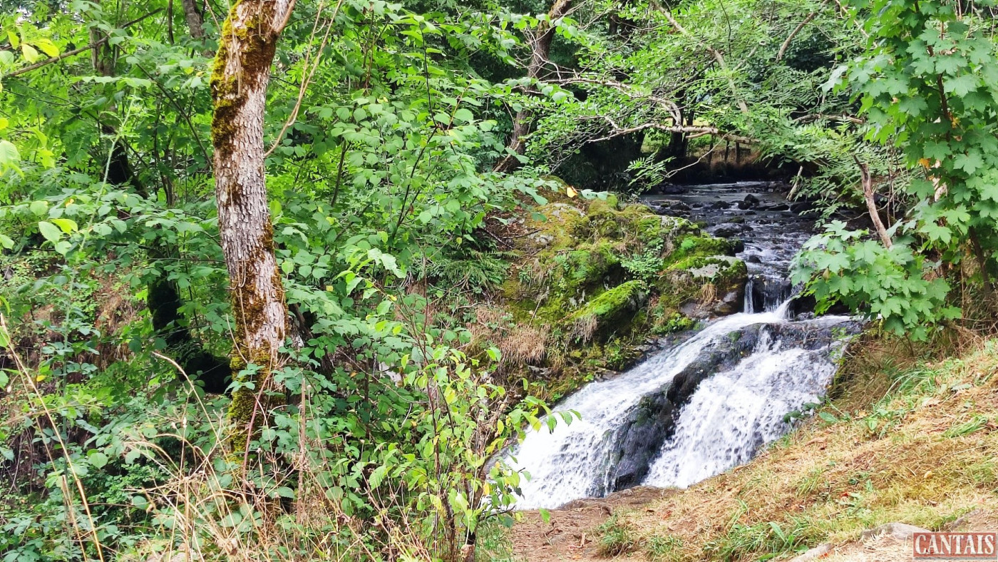 à vendre Camping Brioude - Photo 5