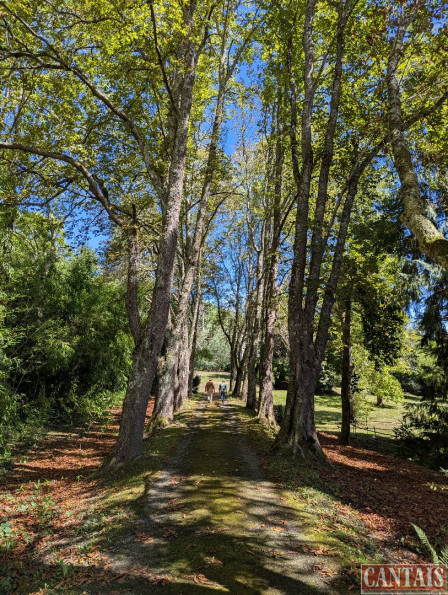 vente Gîte Toulouse - Photo 1