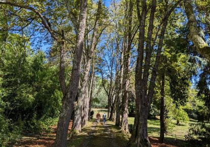 vente Gîte Toulouse