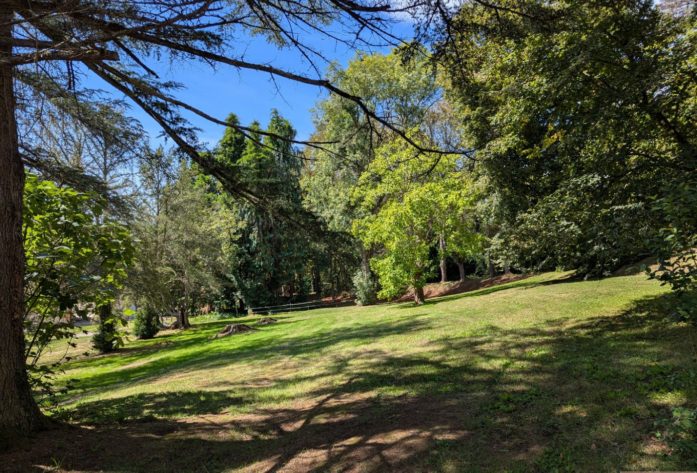 vente Gîte Toulouse - Photo 3