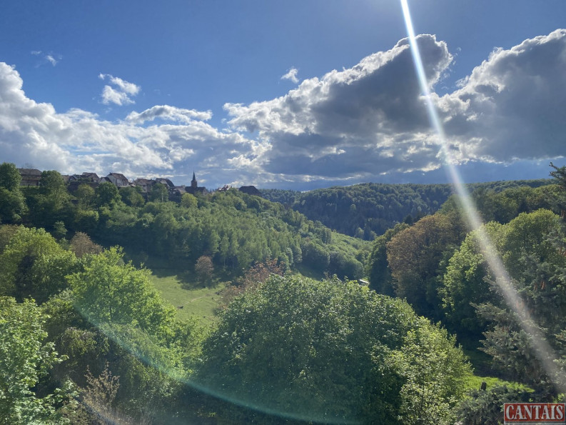 vente Hôtel   restaurant Strasbourg - Photo 3