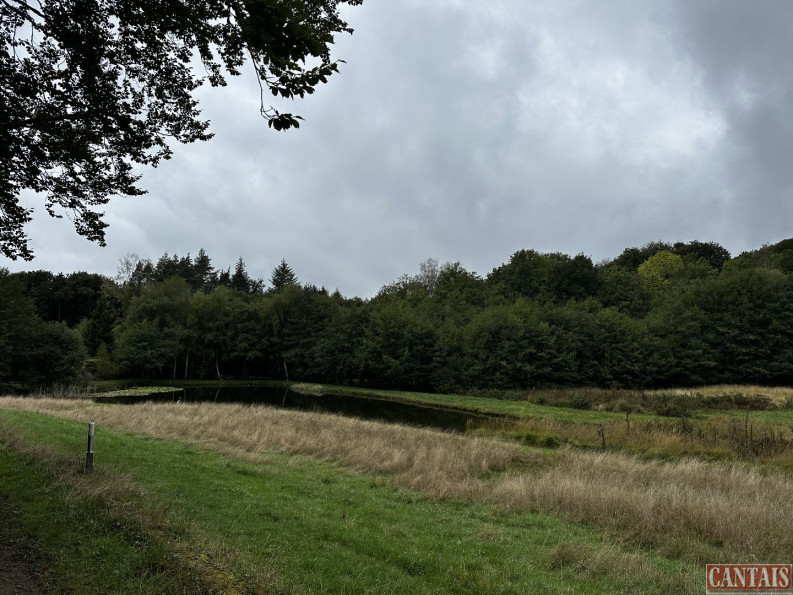 vente Gîte Marchal - Photo 7