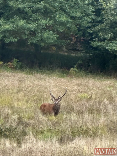 vente Gîte Marchal - Photo 2