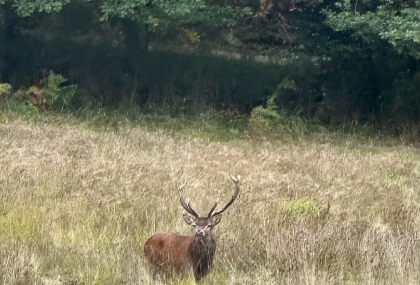 vente Gîte Marchal - Photo 2