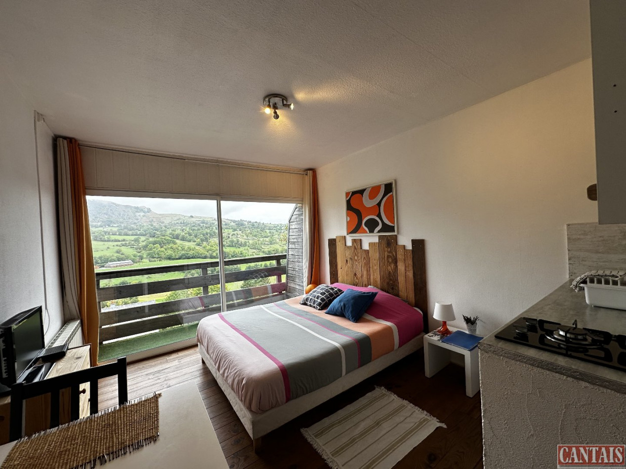 à vendre Gîte Cheylade - Photo 4