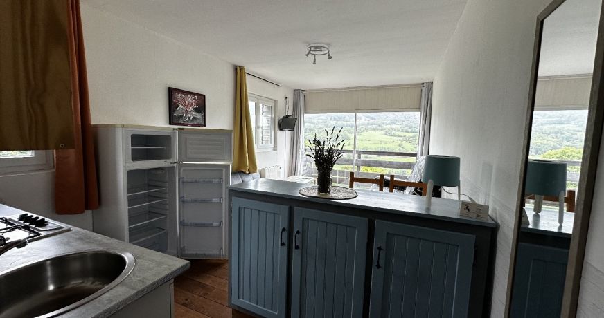 vente Gîte Cheylade