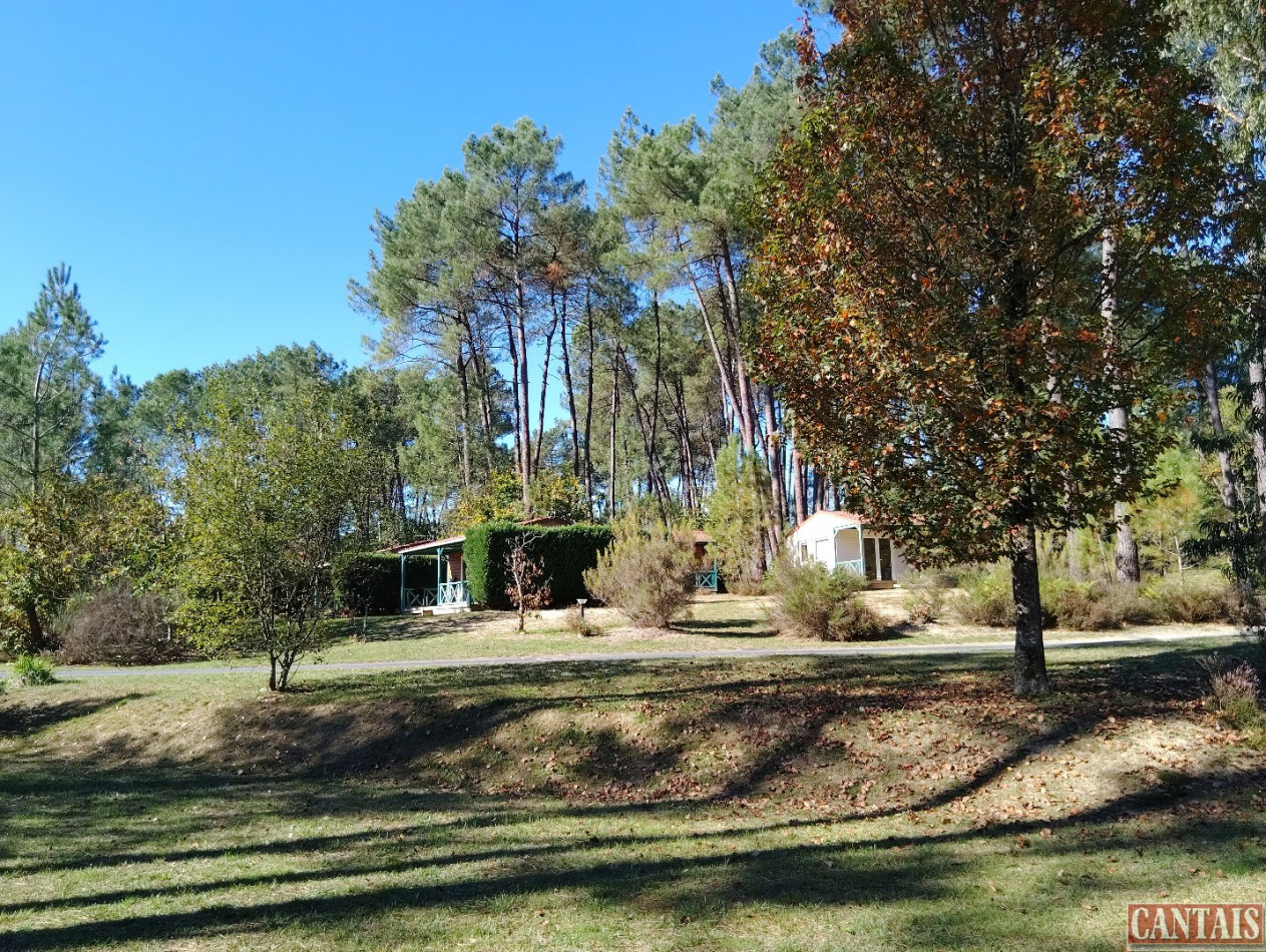 à vendre Camping Perigueux - Photo 1