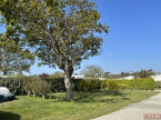 à vendre Camping Rennes