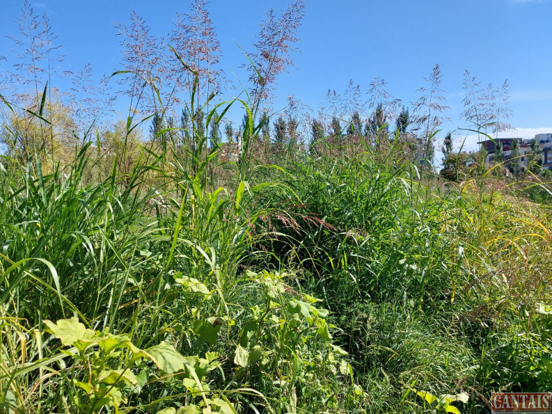 vente Camping Beauvais - Photo 1