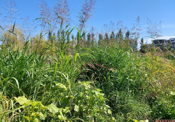 vente Camping Beauvais