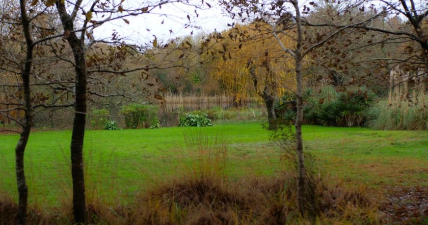 vente Chambre d'hôte Mont De Marsan