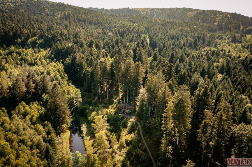 vente Gîte Saint Die - Photo 1