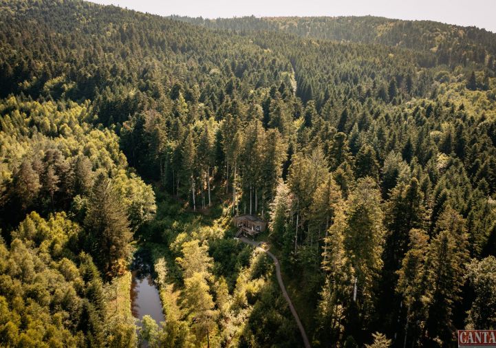vente Gîte Saint Die