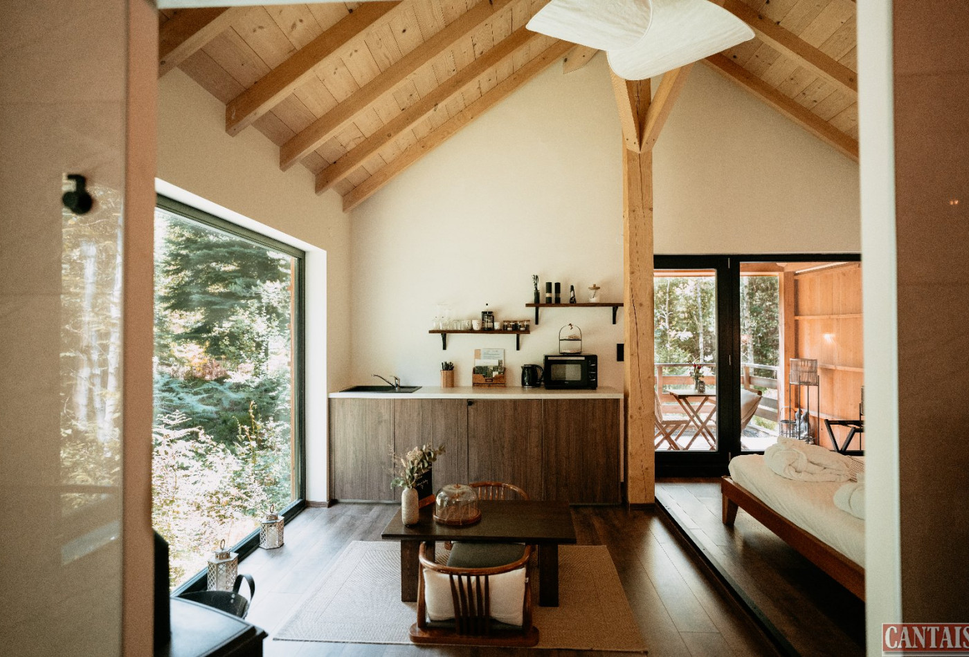 vente Gîte Saint Die - Photo 7