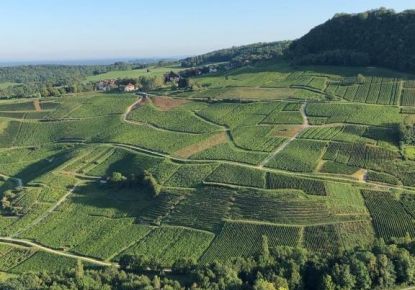 vente Chambre d'hôte Lons Le Saunier