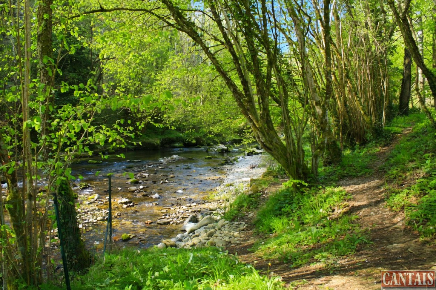 à vendre Camping Saint Gaudens - Photo 3