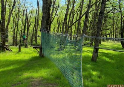 vente Loisir tourisme Albi