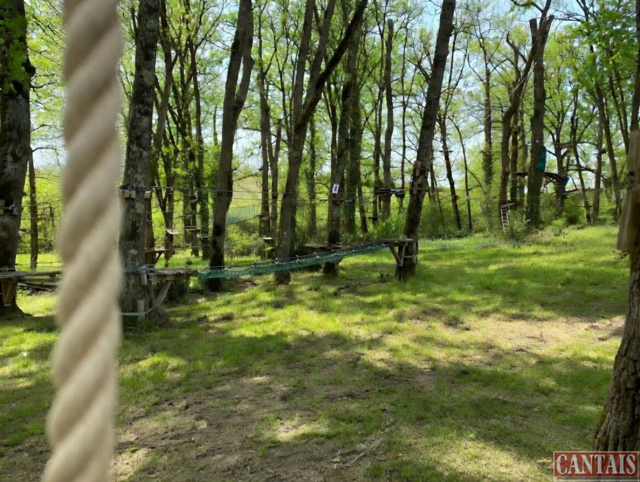 à vendre Loisir tourisme Albi - Photo 2