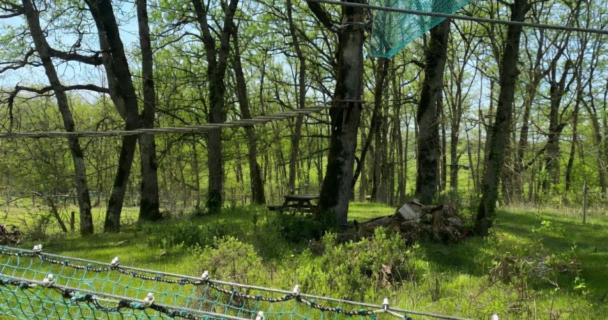 vente Loisir tourisme Albi