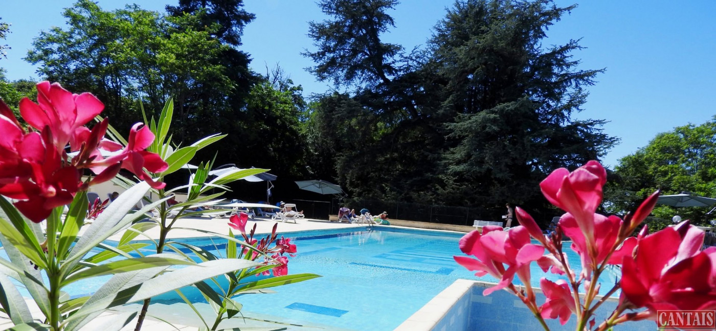 à vendre Camping Montauban - Photo 1