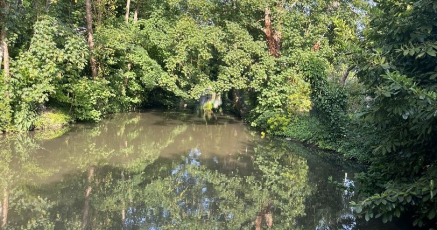 vente Gîte Allonne