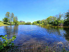 for sale Camping Dijon